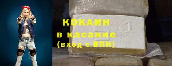 шишки Гусев