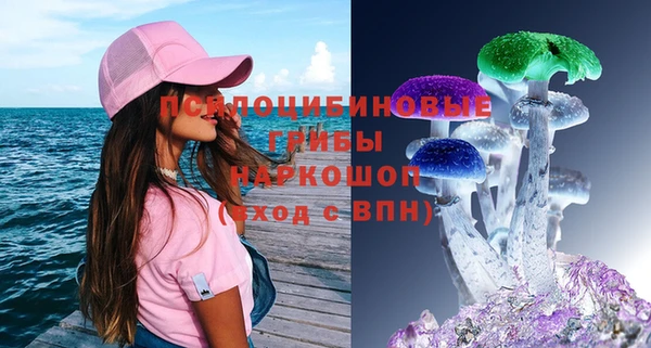 гашиш Дмитриев