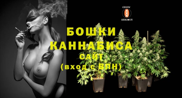 ALPHA PVP Гусиноозёрск