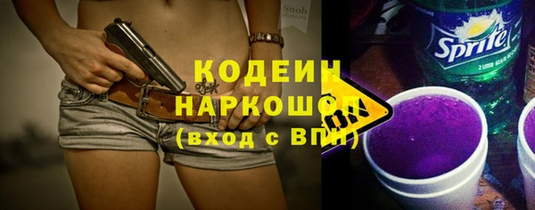шишки Гусев