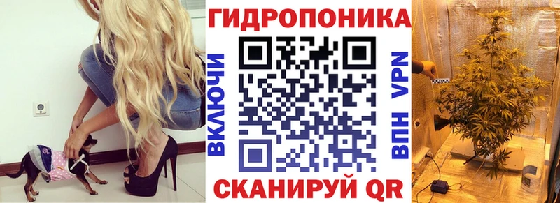 Шишки марихуана план  это какой сайт  Нязепетровск 